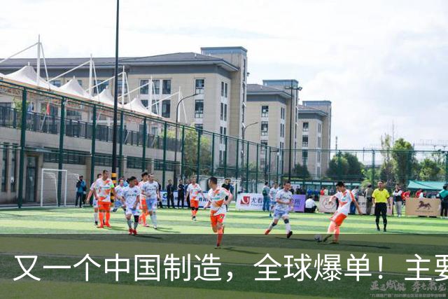 又一个中国制造，全球爆单！主要杀入欧美市场